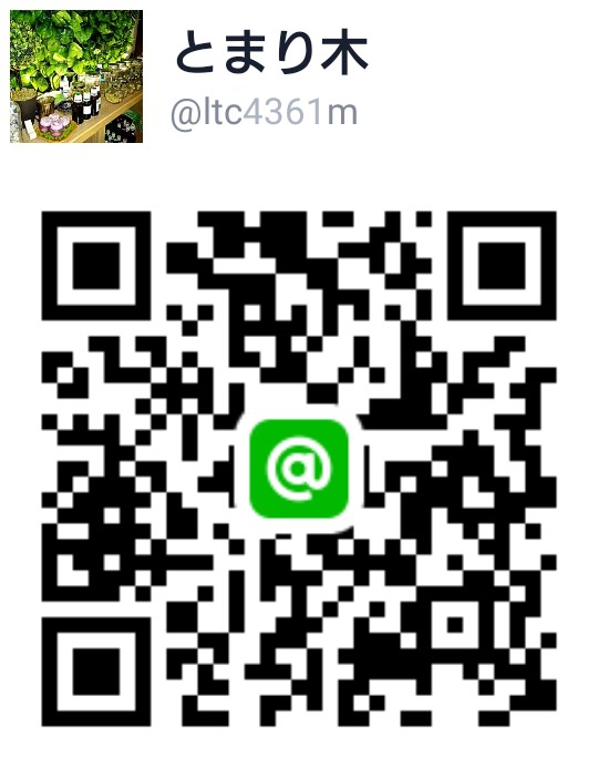 LINE@QRコード